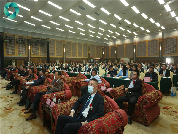 AIV21d2df4b13be40fa98dc1d7c8890f66a011920.jpg